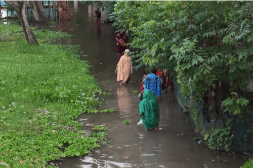 “যশোরের ভবদহ অঞ্চলে জলাবদ্ধতায় পানিবন্দি মানুষের নৌকায় চলাচল”