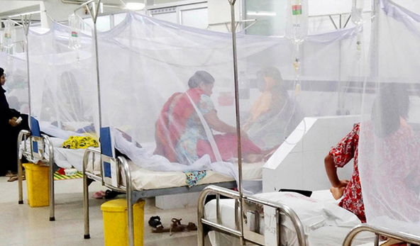 ডেঙ্গু ও চিকুনগুনিয়ার লক্ষণ তুলনা – জ্বর, ব্যথা ও র‍্যাশের পার্থক্য