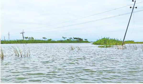 সুনামগঞ্জের দেখার হাওরে প্রস্তাবিত জমি—বছরের অধিকাংশ সময় পানির নিচে থাকে, সেখানেই স্থাপন করা হচ্ছে বিশ্ববিদ্যালয়।