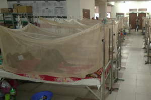 ডেঙ্গু আক্রান্ত রোগীদের নিয়ে ব্যস্ত একটি সরকারি হাসপাতাল, যেখানে চিকিৎসক ও নার্সরা সেবা দিচ্ছেন।