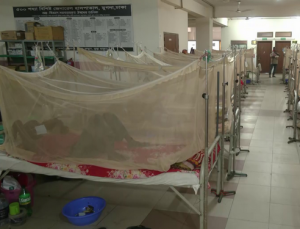 ডেঙ্গু আক্রান্ত রোগীদের নিয়ে ব্যস্ত একটি সরকারি হাসপাতাল, যেখানে চিকিৎসক ও নার্সরা সেবা দিচ্ছেন।