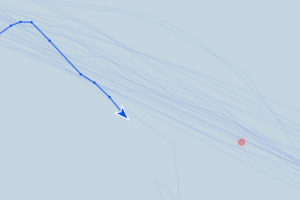 ম্যারিনেট’ জাহাজ লাইভ ট্র্যাকে চলমান অবস্থায়
